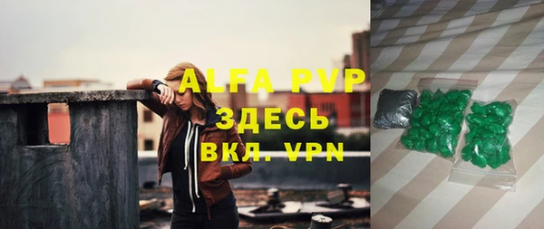 индика Нязепетровск