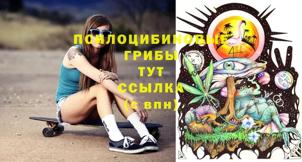 винт Осинники