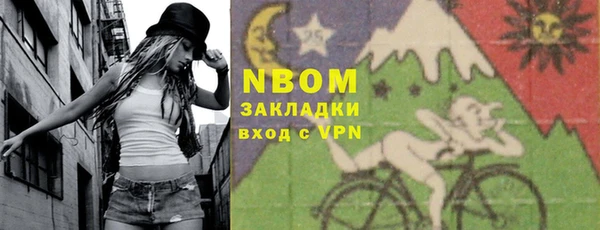 индика Нязепетровск