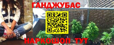 прущие грибы Волгодонск