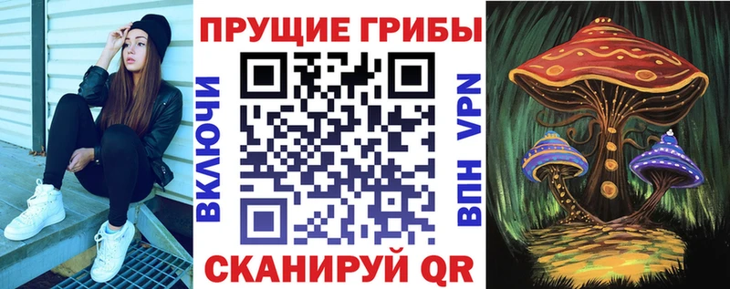 где найти наркотики  Барабинск  блэк спрут   Псилоцибиновые грибы Magic Shrooms 