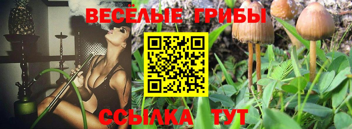 Псилоцибиновые грибы мухоморы  Вход с VPN  Псилоцибиновые грибы Magic Shrooms  Барабинск 