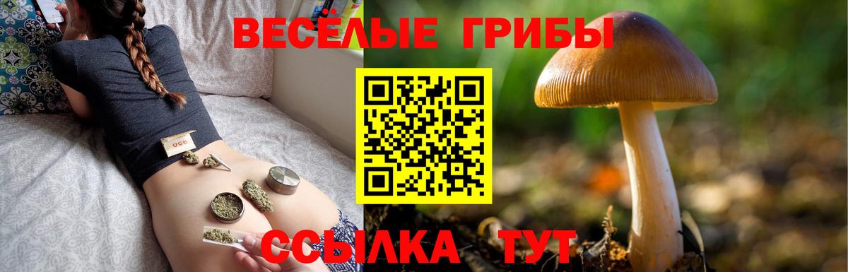 Псилоцибиновые грибы ЛСД Барабинск
